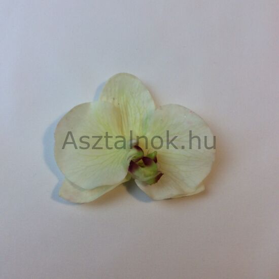 Orchidea dekorációs virágfej fehér